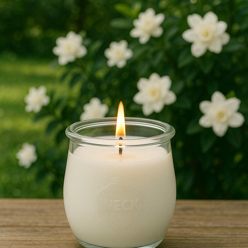 Brennende Duftkerze Gardenia im WECK-Tulpenglas auf Holz, vor blühenden Gardenien im Frühlingsgarten – stimmungsvolles, natürliches Lifestylebild mit Fokus auf Blüten und Ruhe.
https://candledeko.de/products/gardenia-duftkerze-gardenia-blumig-klar-nostalgisch
