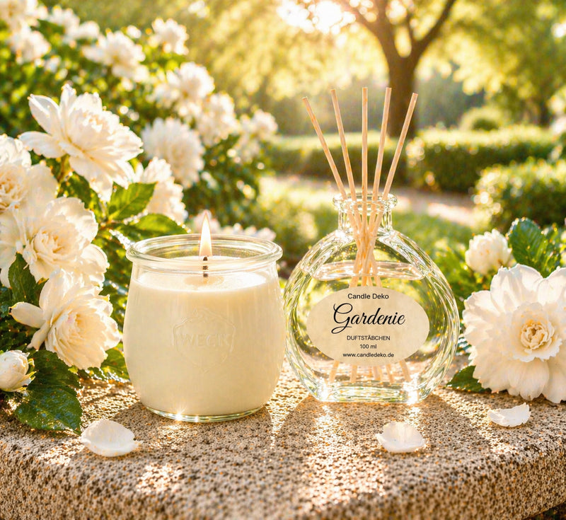 CandleDeko Gardenie Duftduo mit brennender Kerze und Raumduft im warmen Sonnenlicht zwischen blühenden Gardenien.