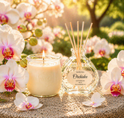 CandleDeko Orchidee Duftduo mit brennender Kerze und Raumduft im warmen Abendlicht zwischen blühenden Orchideen