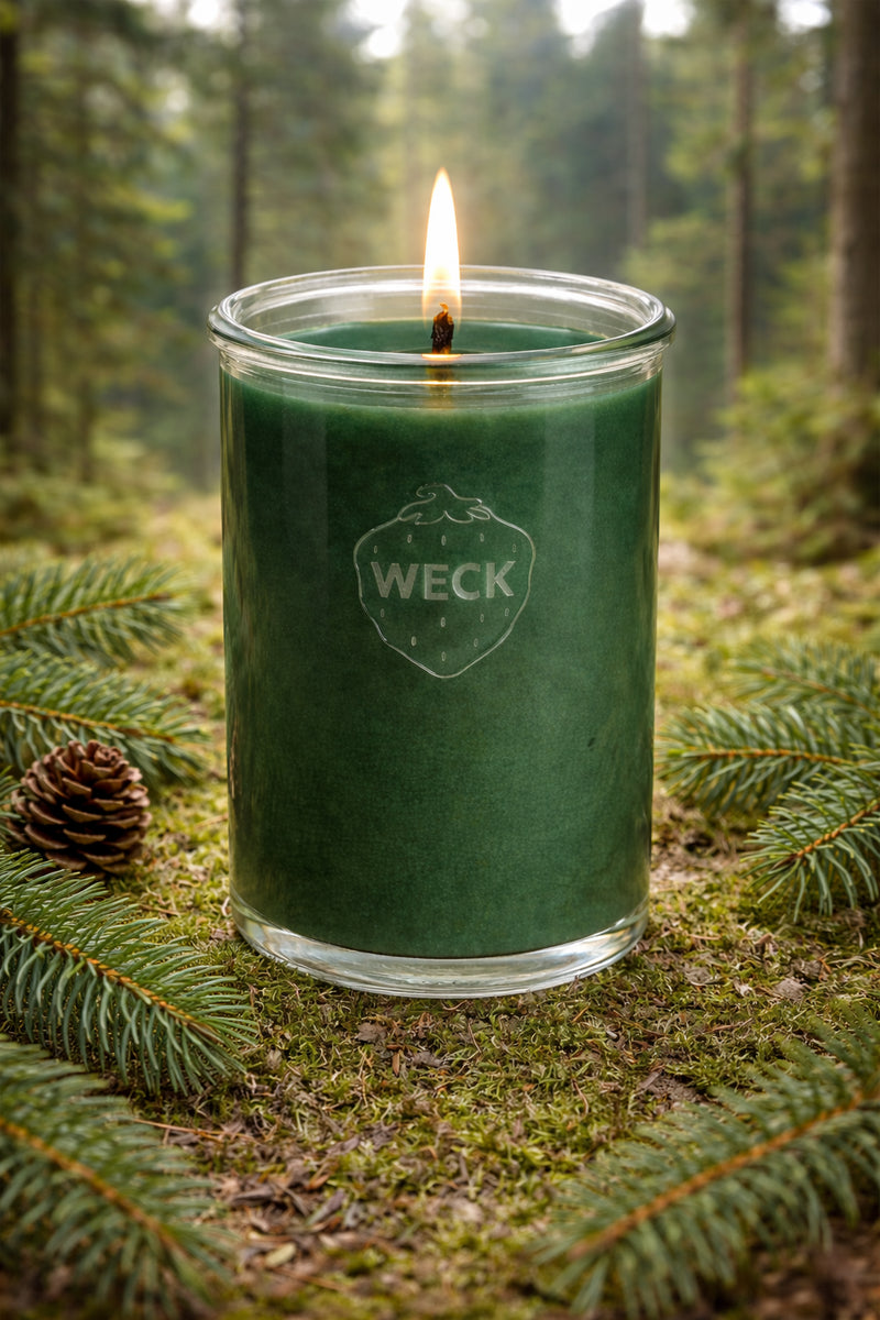 Tannenbaum – Duftkerze XXL | Klarer Waldduft - CandleDeko